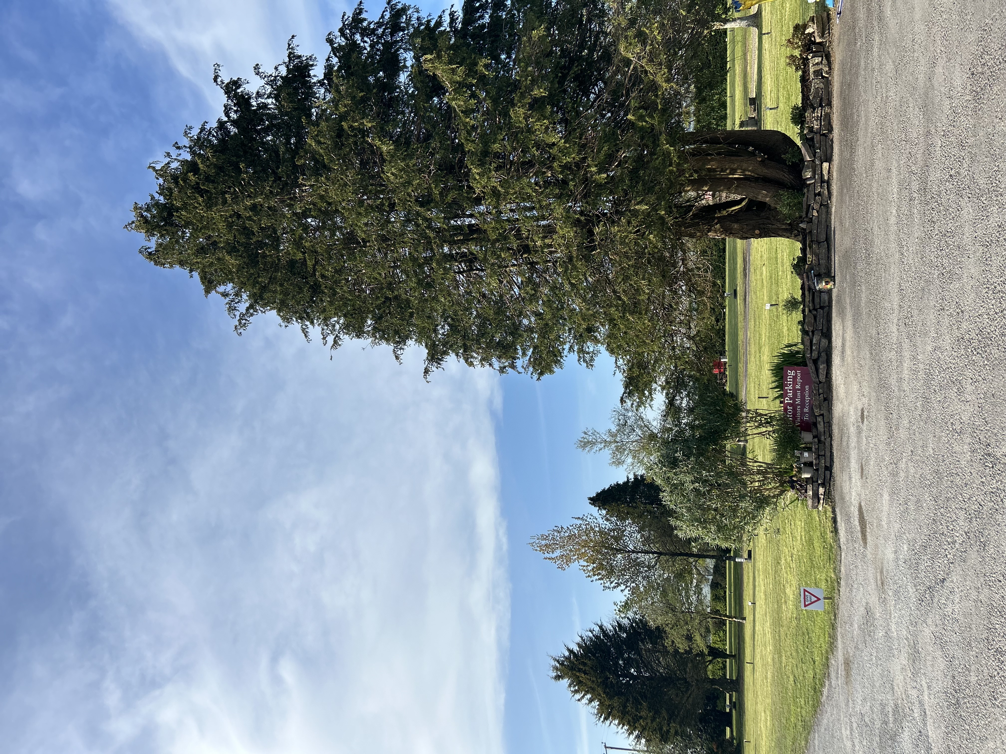 Zeacombe House Caravan Park